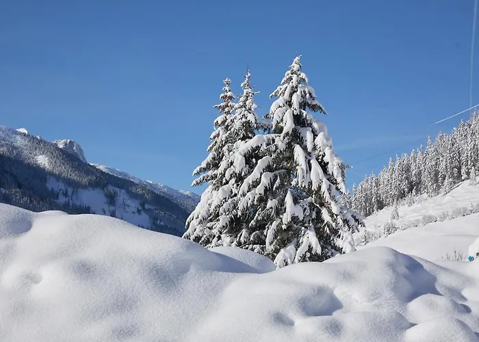 Almhof Family Und Wellness Hotel Gerlos