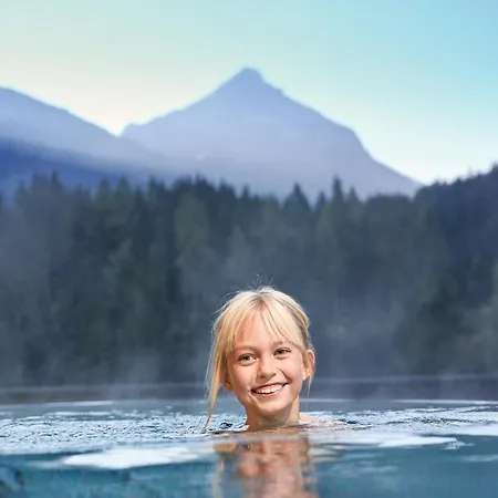 Отель Almhof Family Und Wellness Герлос